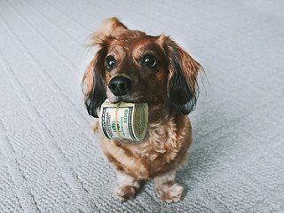 Guaranteed_Jobs's tweet photo. Guaranteed jobs is prepared to put its money where its mouth is. #jobhunting #employment  https://t.co/8ZTikYH9Ee https://t.co/DcHIP18aSc