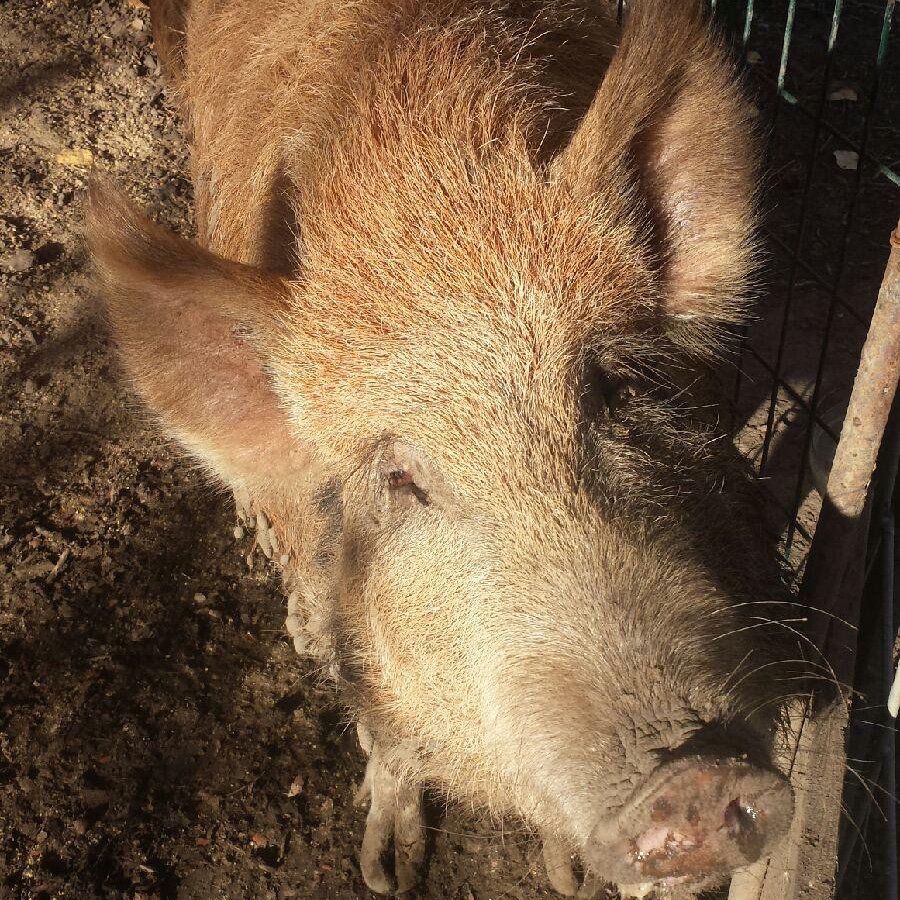 content4good's tweet image. IMG_0831_zpsnyl4qonx