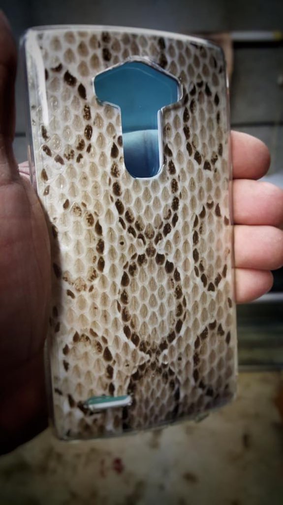 edenbiocreation's tweet photo. Check out  this Russell's Viper LG G4 custom case. Let EBC make yours! https://t.co/3X0XWqdKSR #shednotskin #lupus https://t.co/FxKiLqemj9