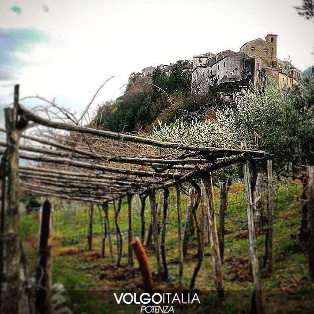 volgoitalia's tweet photo. Ci piace questo scatto! Autore: volgopotenza - Trecchina (PZ)
Foto di @nadianonloso
#trecchina #potenza #basilicat… https://t.co/IXqASFpQbY
