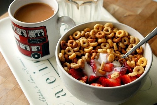 ChooseOne___'s tweet photo. Choose one!🐝 
What do you prefer for breakfast? https://t.co/D6vQyWtxje
