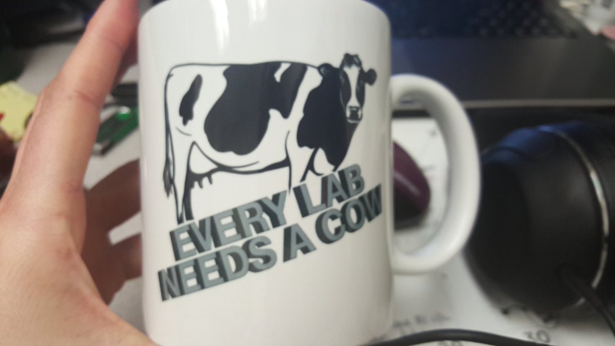 tuckhlm's tweet photo. Just some legen....Dairy humor @VTDairyScience #dairyscience #gradschoollife #mylabtechrocks #labtruth https://t.co/rix4R22dR1