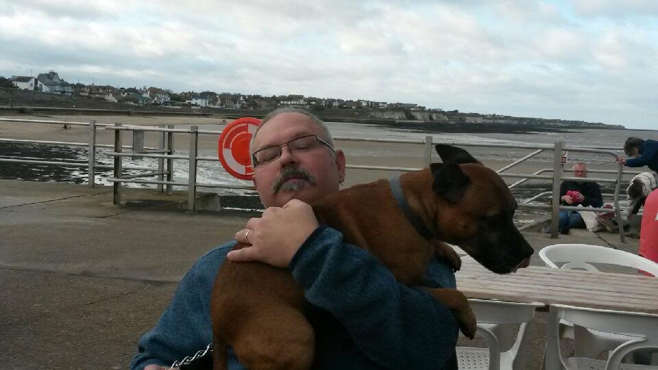 Greenleaf Animal Rescue tweet media