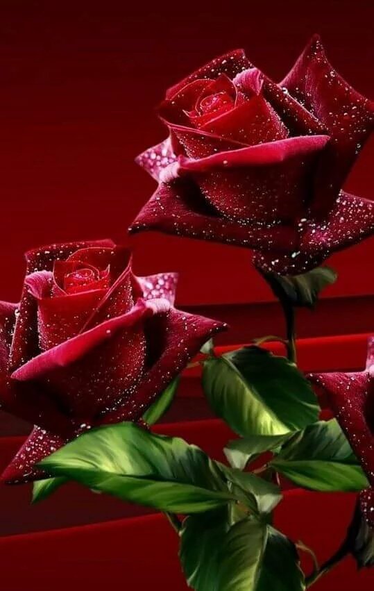 findik2435's tweet photo. @elena_drymova Thank you same to you fortunately You have https://t.co/TjwvpBodS5