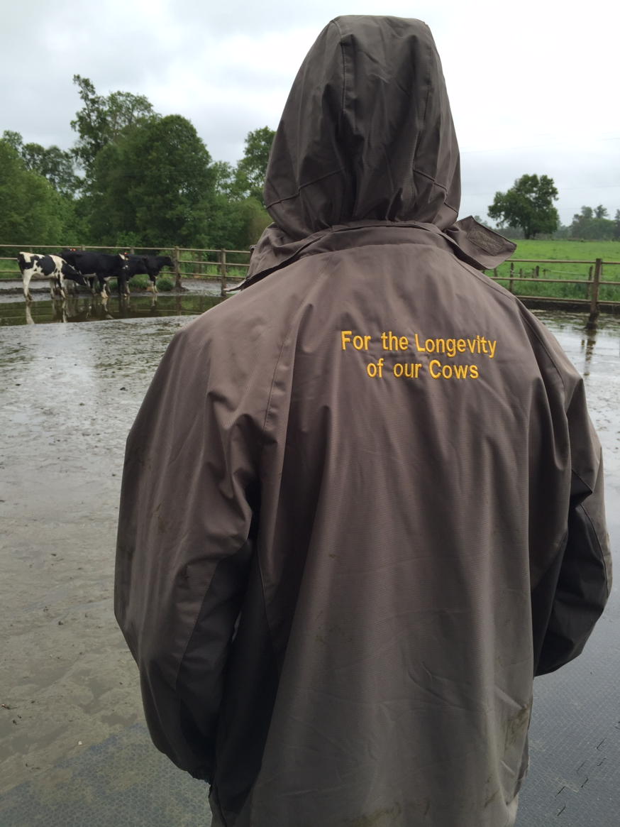 Jaco, very good friend of mine.
His company work wear.
The answer to the question why we do/love our job #savecows