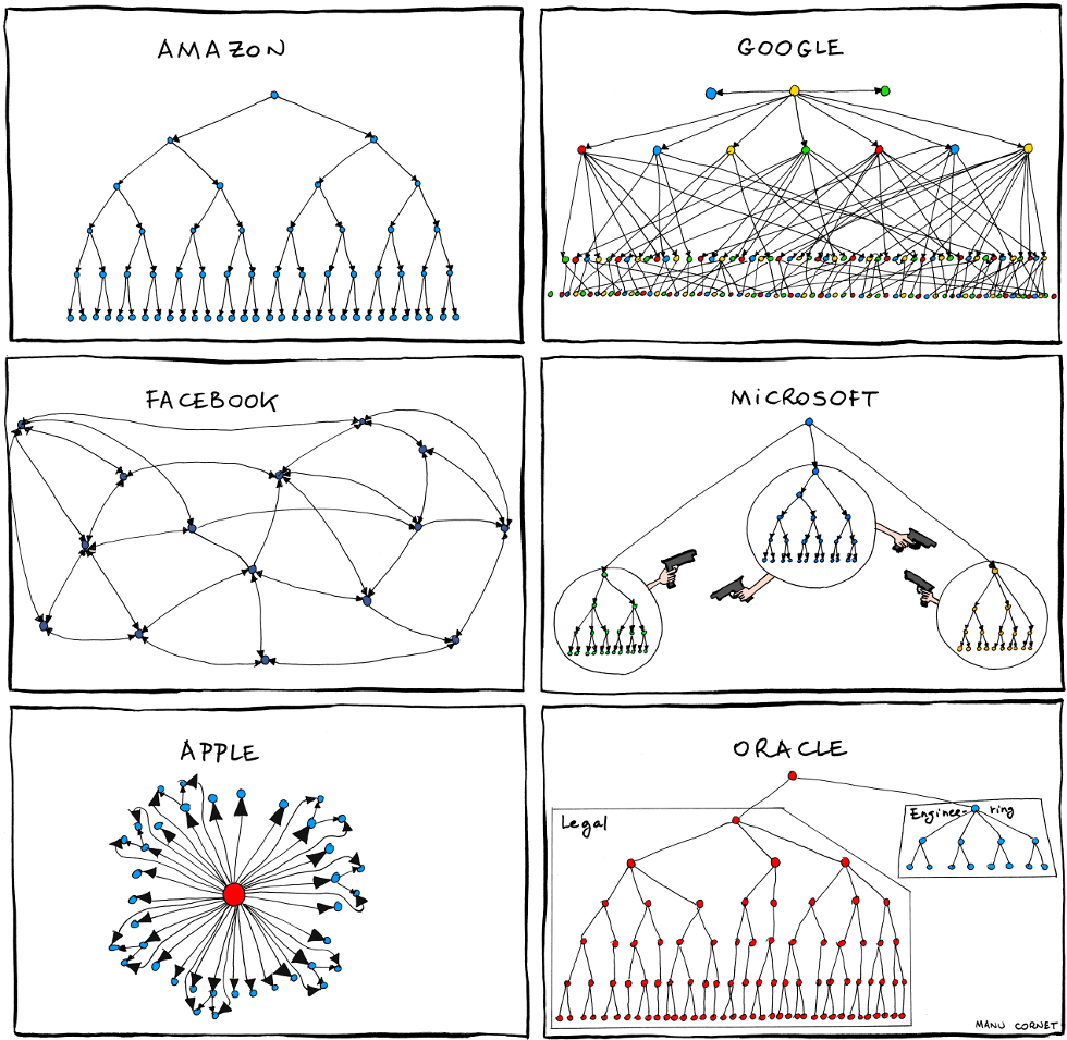 Amazon Structure Chart
