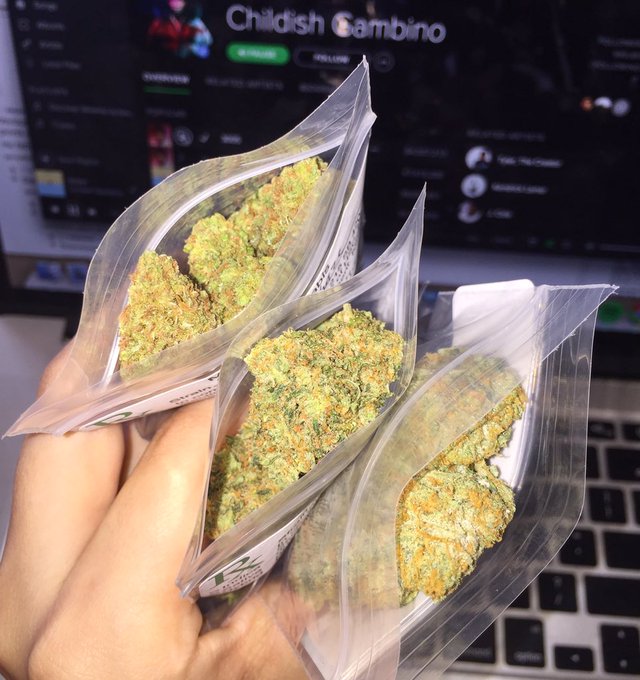 4 grams each of 3 different strains. Where to start? ☺️ https://t.co/GVQApZPN6C<a href="/tag/postyourselfasagif"class="tags"><span>#postyourselfasagif</span></a>