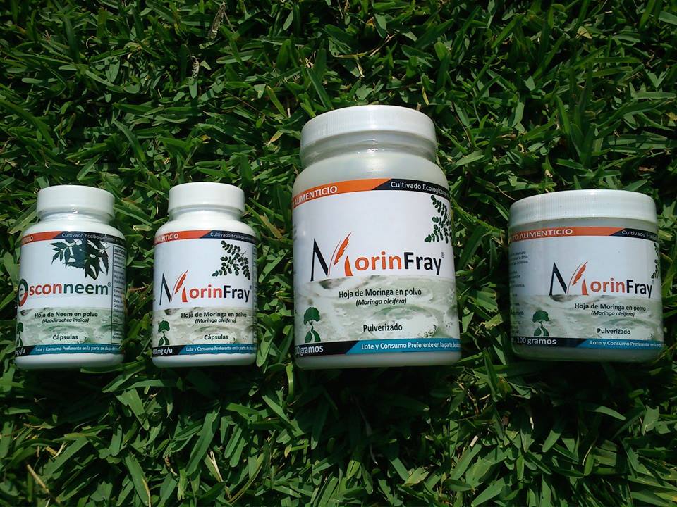 nutri_bi's tweet photo. #Morinfray limpia #oxigena #nutre #regenera 100% #Moringa consume sólo productos confiables @TuxAnunciate https://t.co/oqBULWhoRF