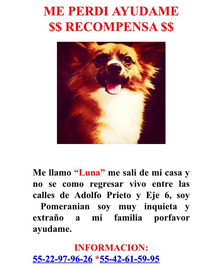 BerryBrenda tweet media