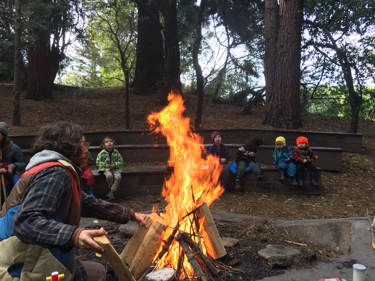 Berkeley_Forest tweet picture
