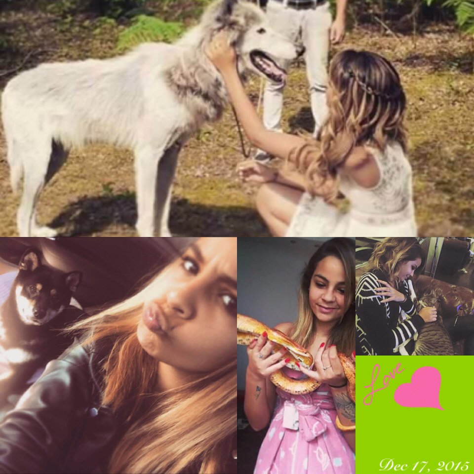 LaetiAuvity's tweet photo. J'adore mon montage 😍💖 @SindyOfficiel 😘💖 #Auviteam 💖 #Sindy #Senvoler #Ixia #Paul #Selfie 💜 https://t.co/TQFSjHm0uU