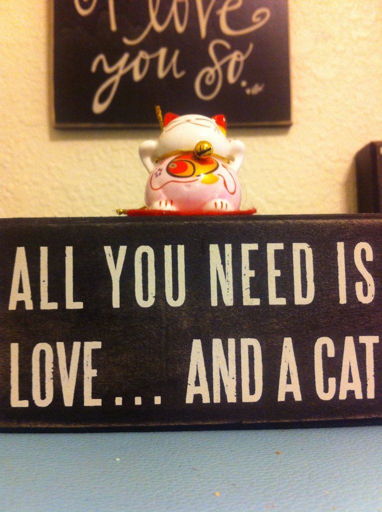 Pandachu Clan (@yumyumplays) on Twitter photo 