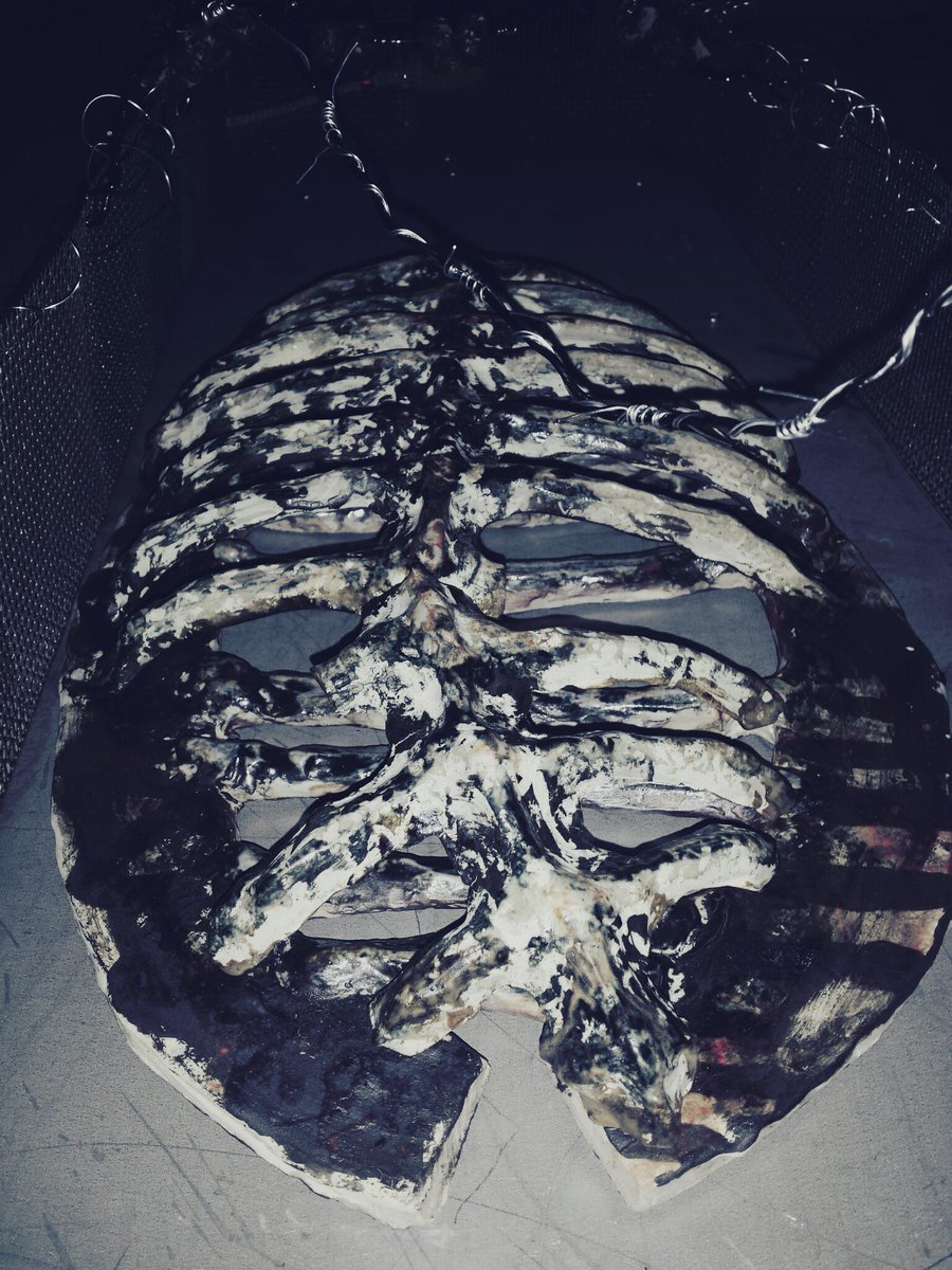 d_woolfe's tweet photo. Ribcage coat of arms #ribs #caged #ribcaged #Bones #prisonarchitect https://t.co/YLCkJPpSjb