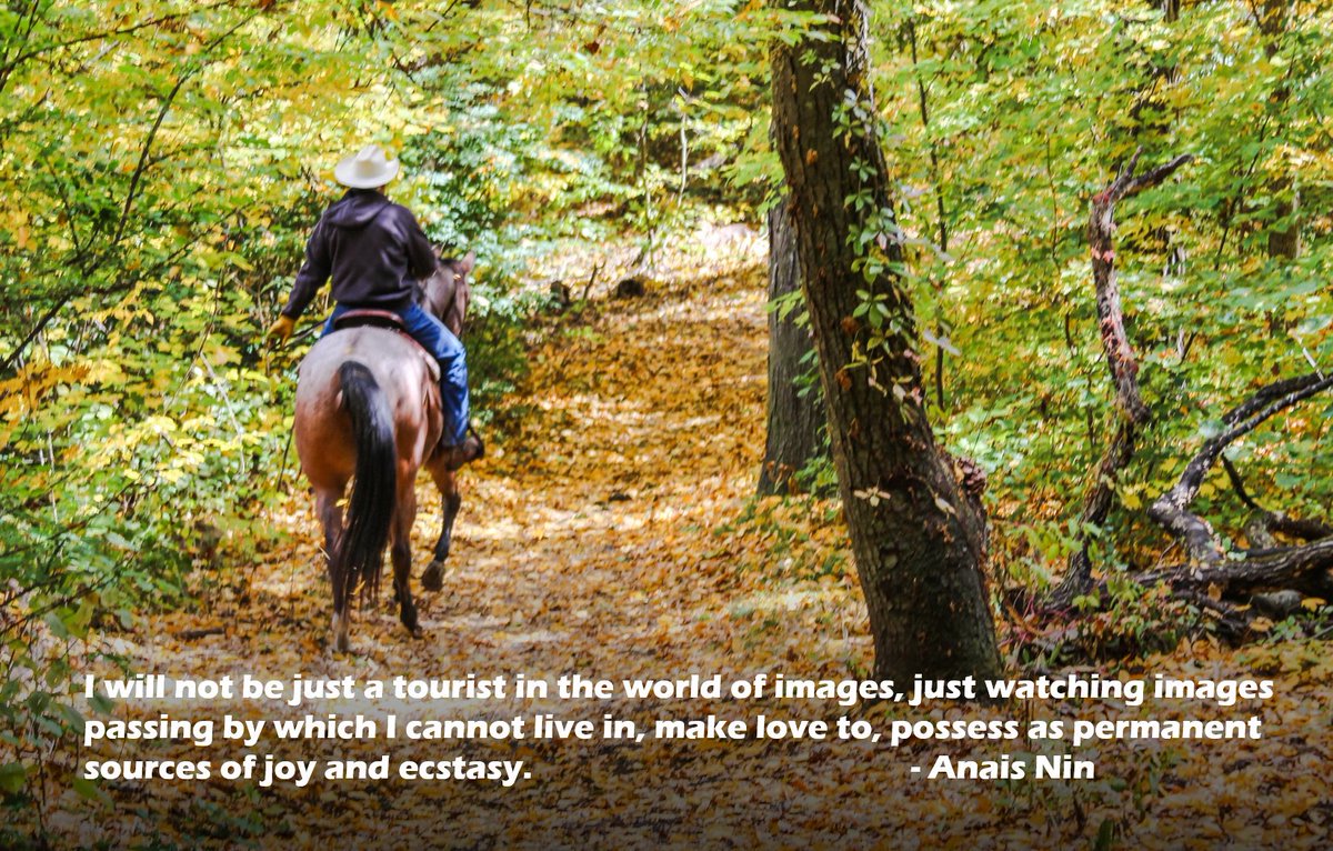 Live a purposeful life. Don't let it pass you by.
 
#inspiration #quote #motivation