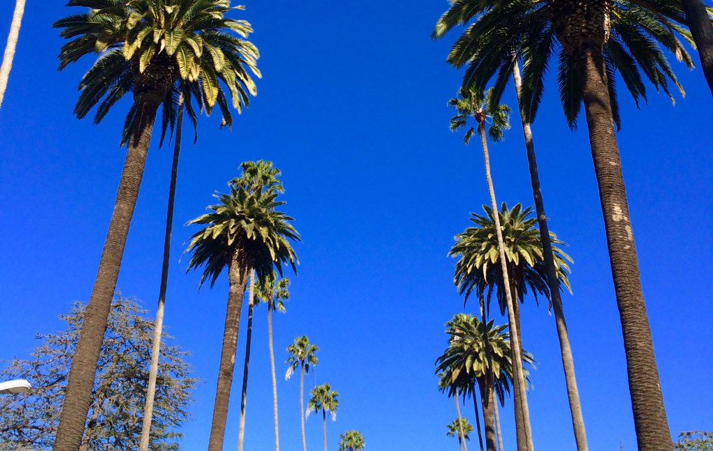 Studio_AVA_'s tweet photo. Great trip to the west coast ! See you in January! https://t.co/jBzs4Lu3Ar