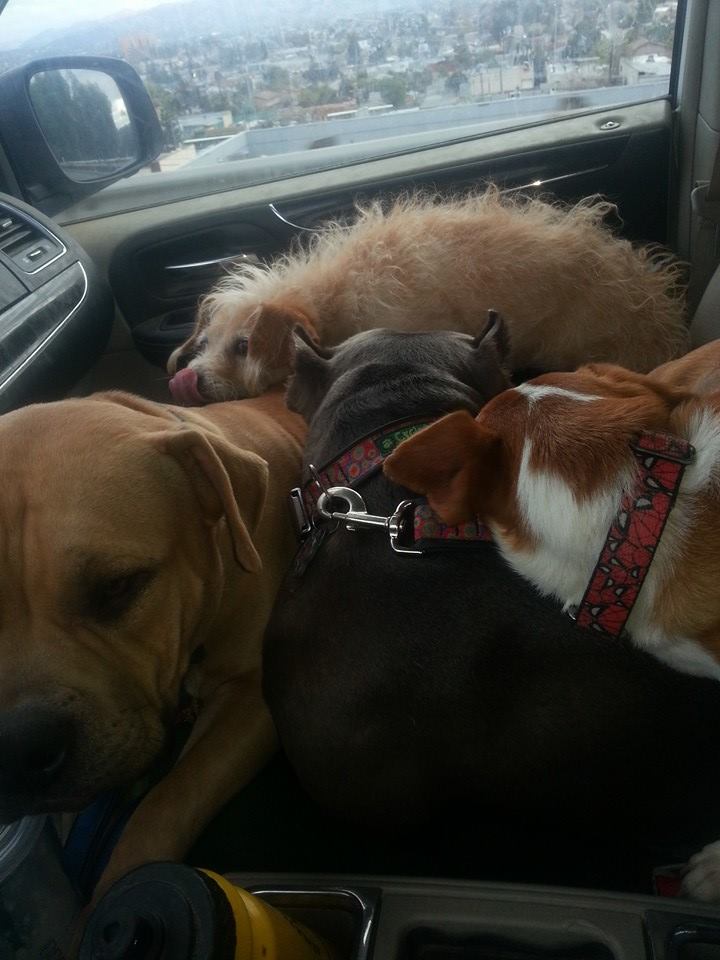 TBLTweets's tweet photo. Keepin warm on a chilly commute to TBL, circa December, 2013: #TbT #WarmthInNumbers https://t.co/lpTnZhSNn4