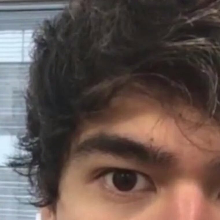 daddydeadz's tweet photo. In loving memory of Calum hood's curls, he still looks fine af, just don't got curls anymore https://t.co/hjFrtxfoiR