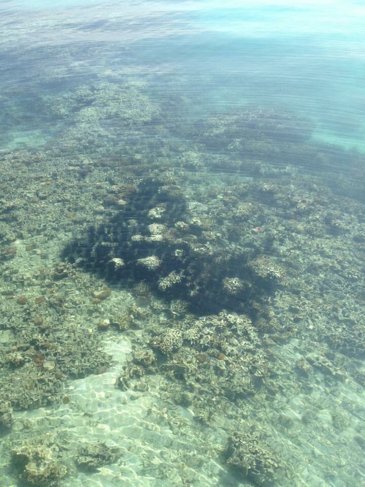 lovelytrap's tweet photo. A nice place  to getaway only 30 minutes from Jakarta #tidungisland #tidung #indonesiatravel #beautifulindonesia https://t.co/w2e01Jsoaj