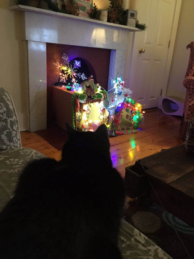 RidleyTheTuxedo's tweet photo. Just sitting here admiring my #needsmoretacky creation #iwon #3timeworldchampion Right @Talk_to_the_paw πΉ https://t.co/SjNwU9M9Di