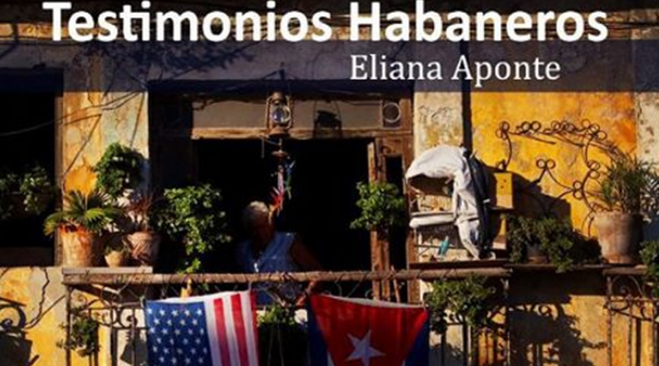 Enlace permanente de imagen incrustada