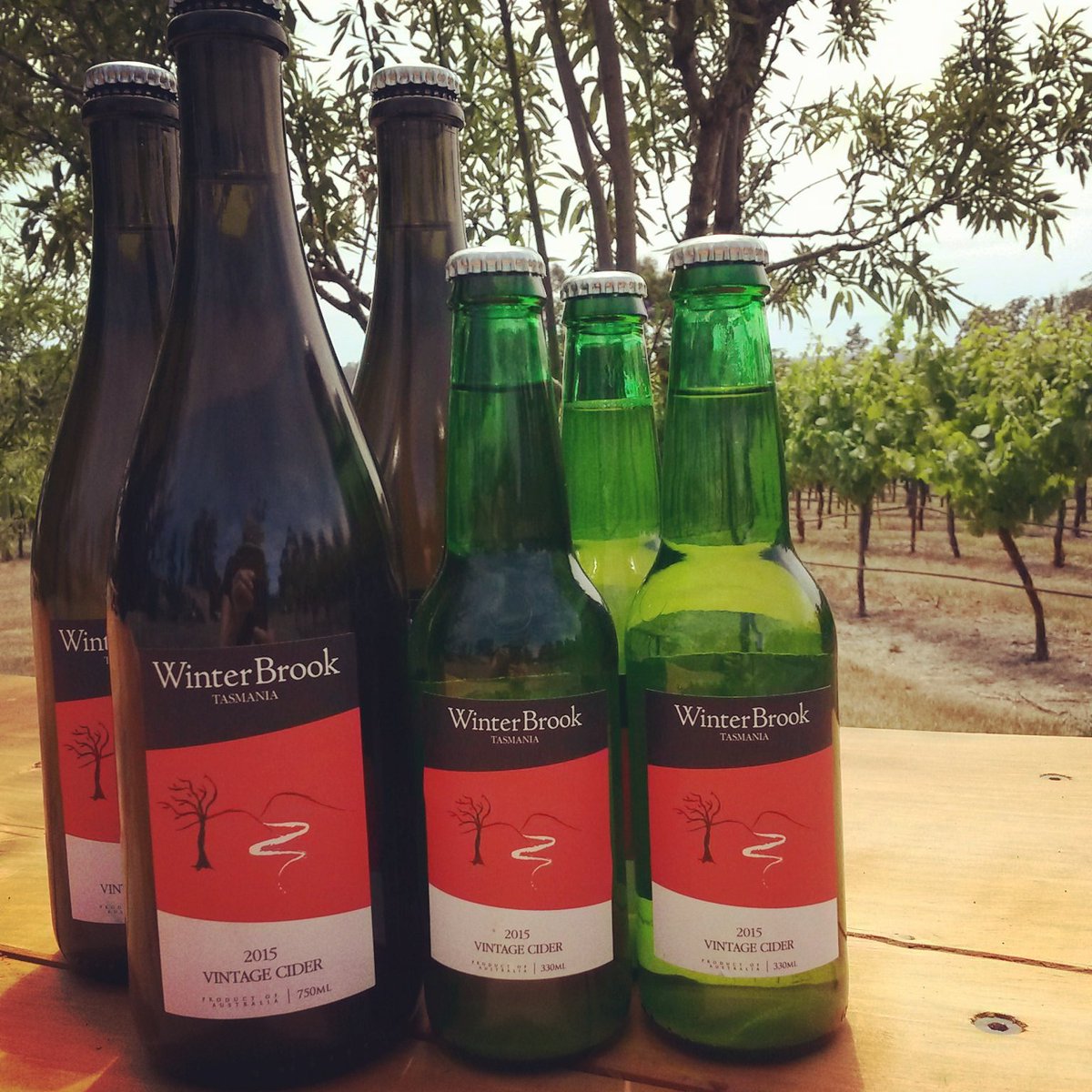Isn't it a swell day for cider? Longnecks only $15 or 4 little ones for $30 #cider #ciderisle #christmasinthesun
