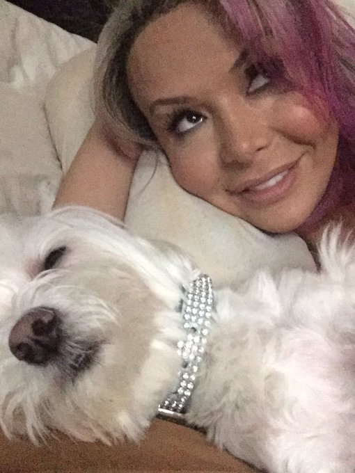 My love bug needed a cuddle to fall a sleep https://t.co/p6APDRTfys<a href="/tag/standbythenypd"class="tags"><span>#standbythenypd</span></a><a href="/tag/oneistomany"class="tags"><span>#oneistomany</span></a>