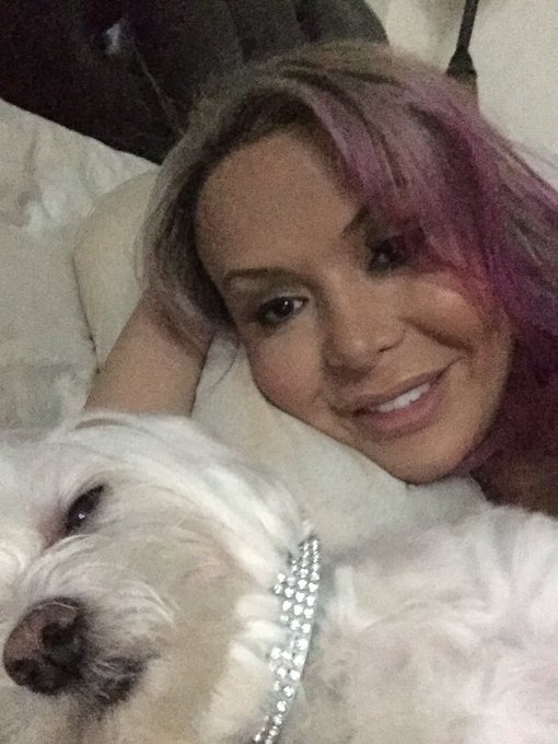 My love bug needed a cuddle to fall a sleep https://t.co/p6APDRTfys<a href="/tag/standbythenypd"class="tags"><span>#standbythenypd</span></a><a href="/tag/oneistomany"class="tags"><span>#oneistomany</span></a>