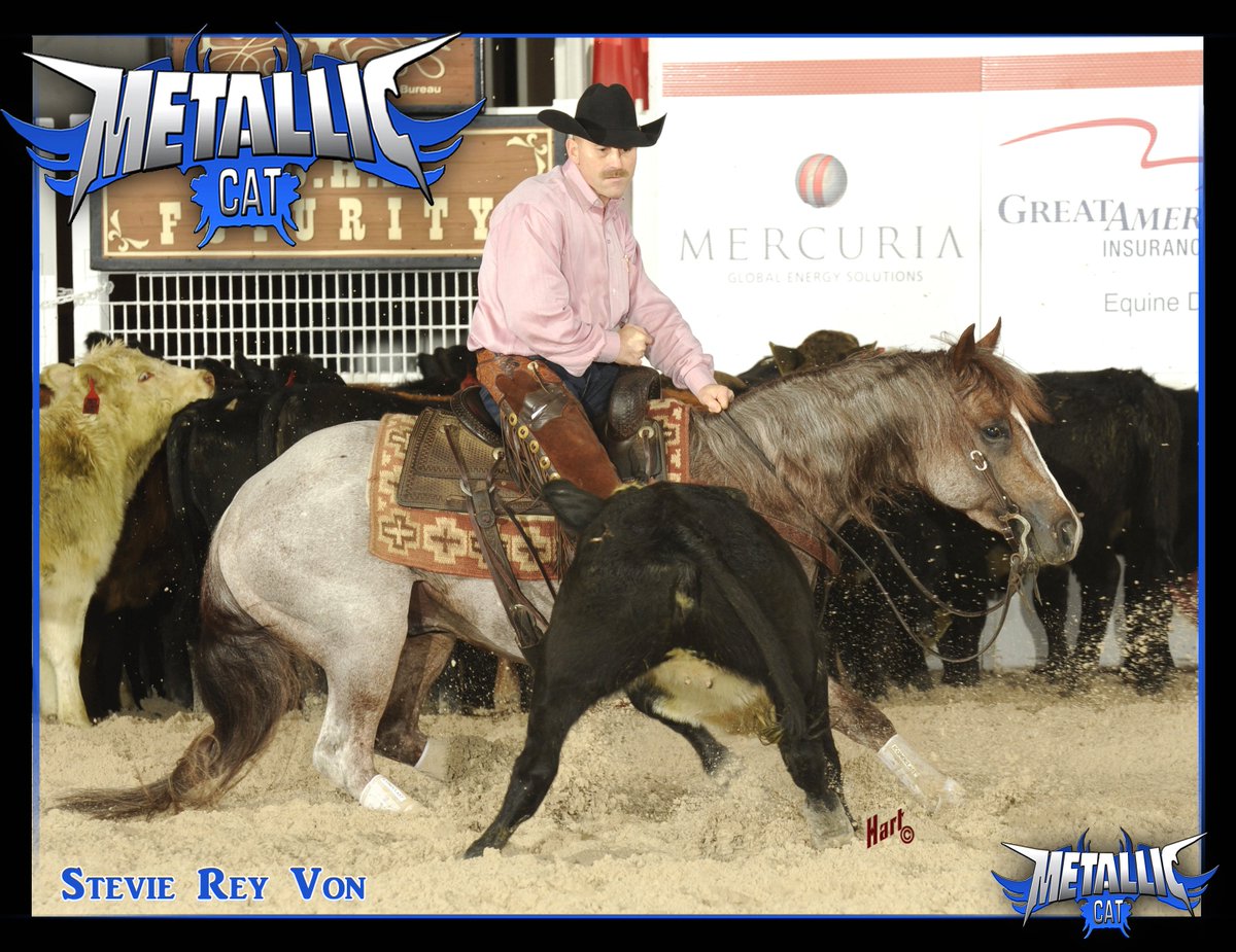 Spursequine's tweet photo. 2015 NCHA Futurity Open Champion &amp; Limited Non Pro Champion, Stevie Rey Von. https://t.co/WTKHOBhsHT