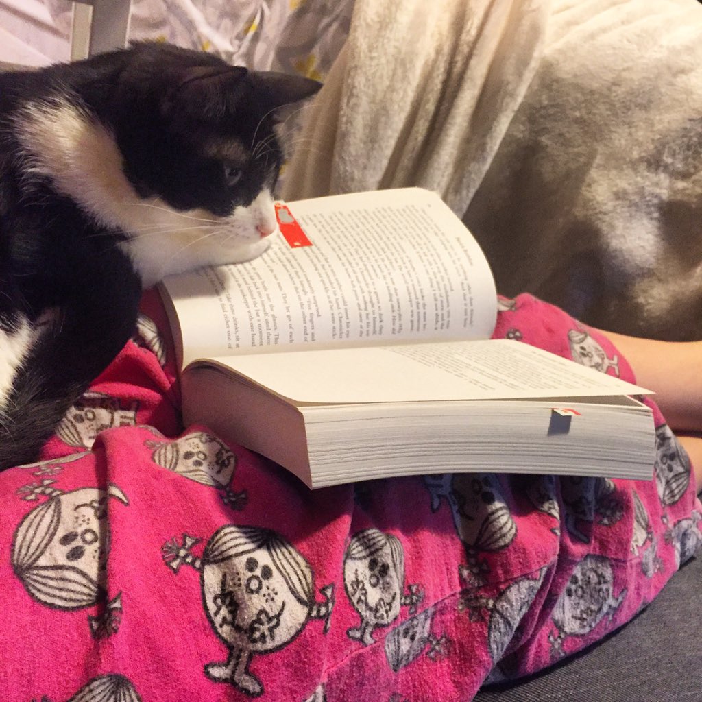josiew2's tweet photo. See...this is the part where it gets really good..#readingkitty #kittysuperpowers #thenameofthewind #patrickrothfuss https://t.co/yYlsmmwuI9