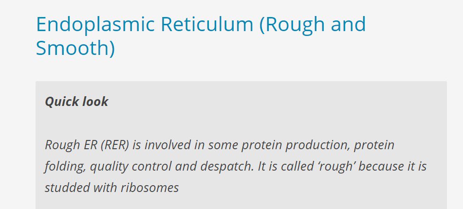 JRibosomes's tweet photo. SMH. The British society for cell biology said the ROUGH ER is responsible for proteins. What am I?!?! https://t.co/DHSkTlensY
