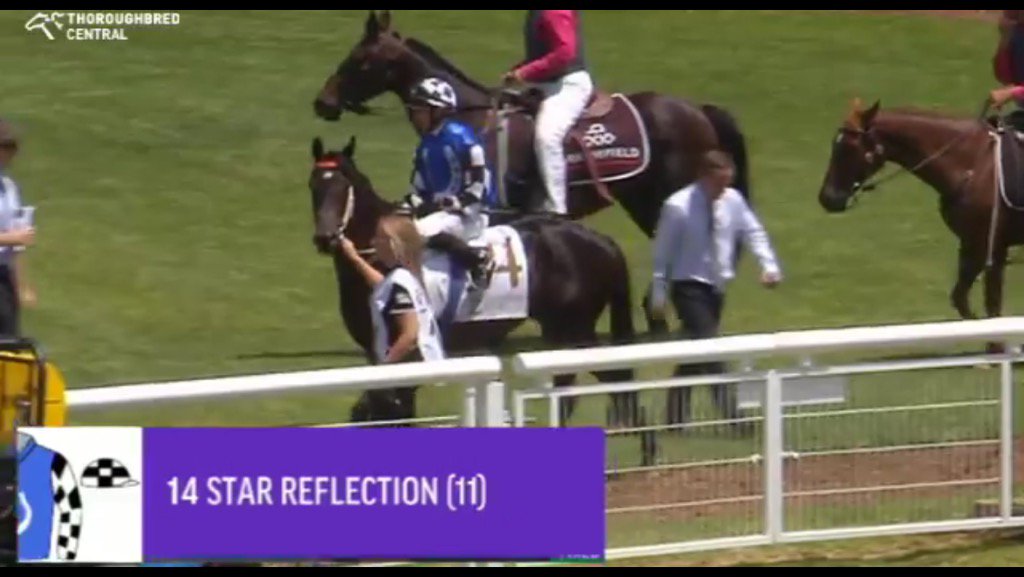 Leesracing's tweet photo. #StarReflection on debut heads out for @Austbloodstock @Nabby_9 @sconeraceclub https://t.co/IQYlj2Rzis