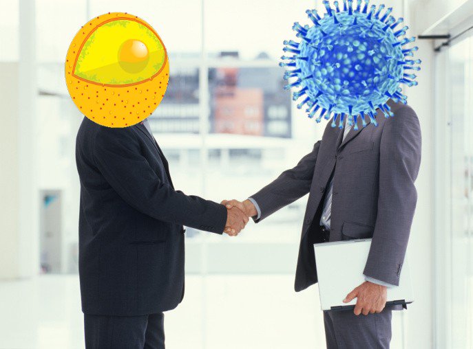 DownWithNuclei's tweet photo. THE NUCLEUS HAS JUST BEEN SEEN NEGOTIATING WITH A VIRUS! THIS IS TREASON #DOWNWITHNUCLEI #OrganelleVote2015 https://t.co/yaIDpzytsY