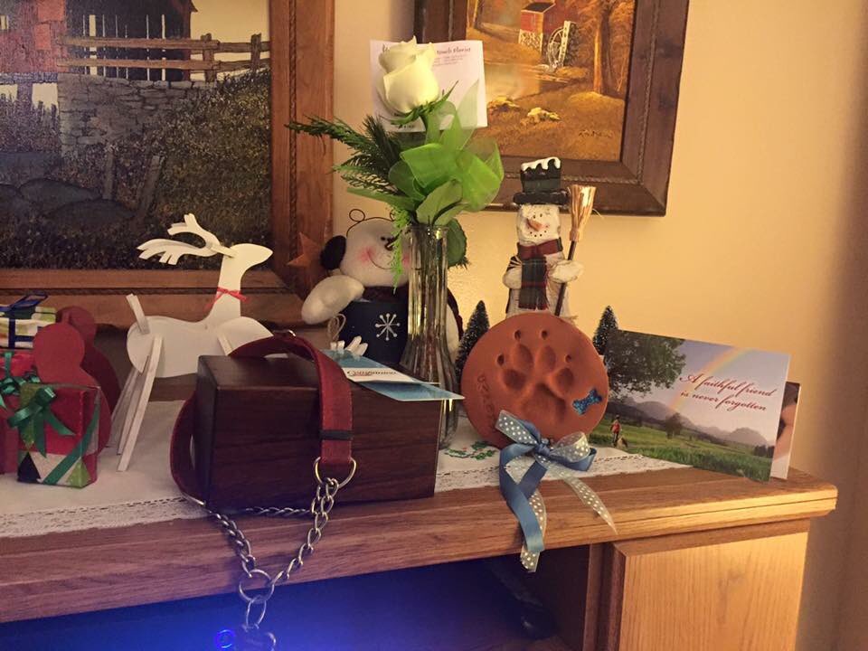 CoreyD06's tweet image. Capone is back home where he belongs. Rest easy buddy, I love you &amp;amp; miss your butt wiggle hello #RIPCapone