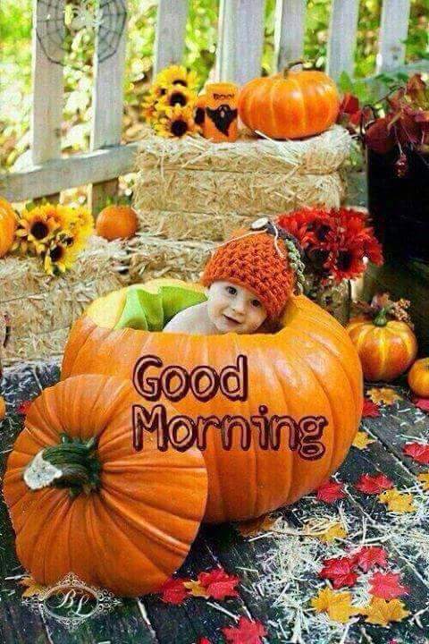 Muhamma40872798's tweet photo. @sharrai_ https://t.co/FQVLybGYWy