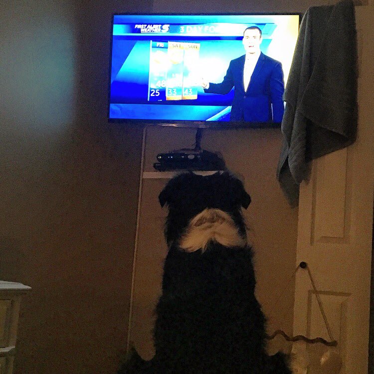 Hunter Dillard tweet media