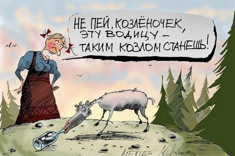 Смешные картинки на тему алкоголя прикольные, ручная поздравления