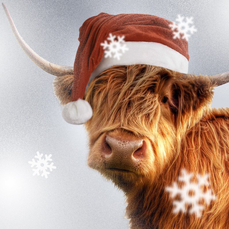 VisitScotland's tweet image. Help our #Santa coo make it round the world in time for #Christmas with a RETWEET! 🎅🐂 #LoveScotland