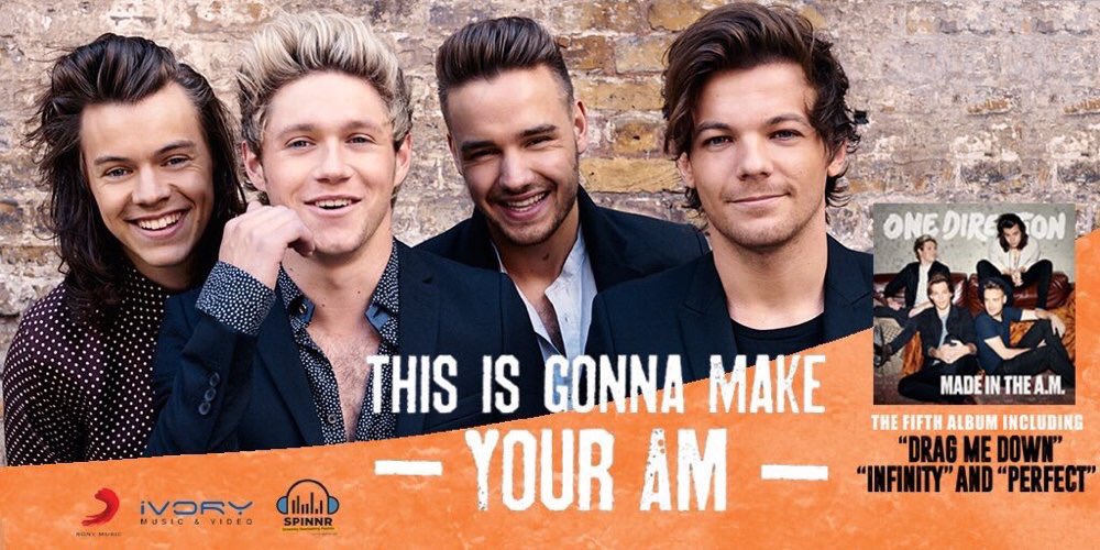 SpinnrPH's tweet image. The results are in! @onedirection&apos;s &quot;Made in the A.M&quot; was your favorite album of 2015!🎉 #Spinnr1D