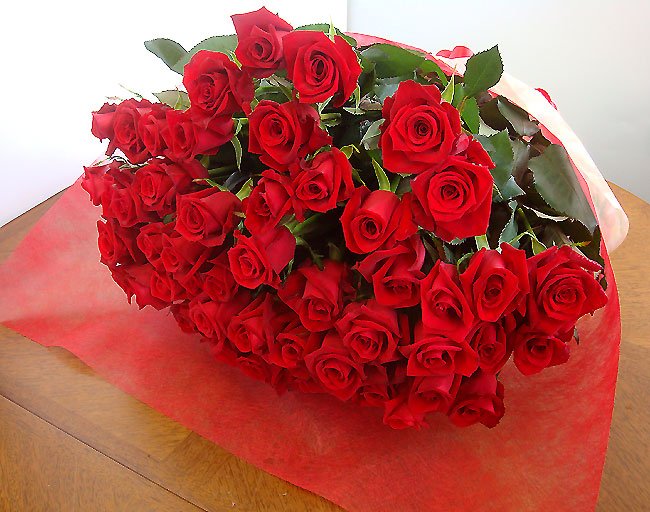 panyreqacako's tweet photo. バラ50本の花束4980円！100本のバラの花束・還暦祝い60本のばらにも調整OKお祝・誕生日に贈るバラ花束・指定日配達対応
https://t.co/gwwYimzT61 https://t.co/pNtzqJ2Oi9