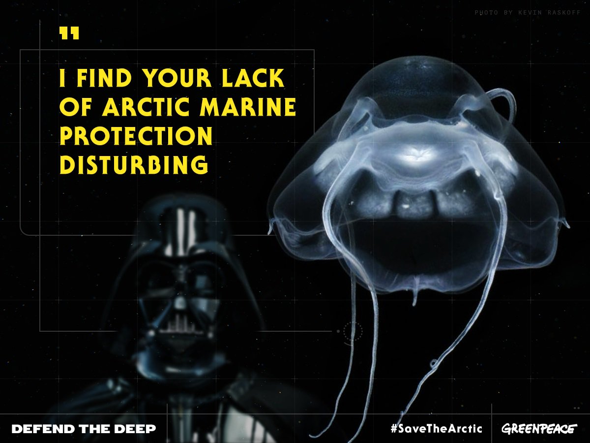 gpph's tweet photo. Meet the 'Darth Vader Jellyfish'. Discovered in the Arctic Ocean, it roams the freezing waters beneath the sea ice. https://t.co/xtrpXbsWTY