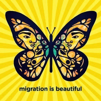 glncv tweet picture