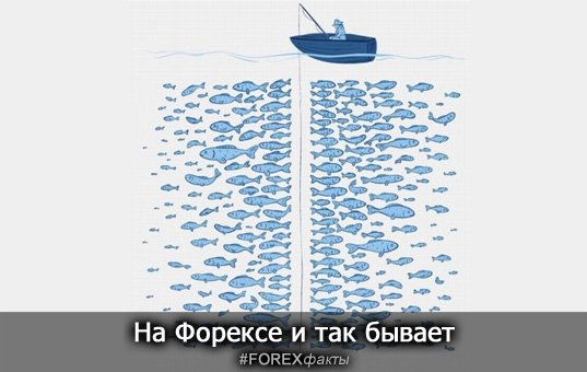 Forex_Facts's tweet photo. Не все сделки одинаково успешны

#FOREXфакты #форекс #forex https://t.co/nC18z8bGW3