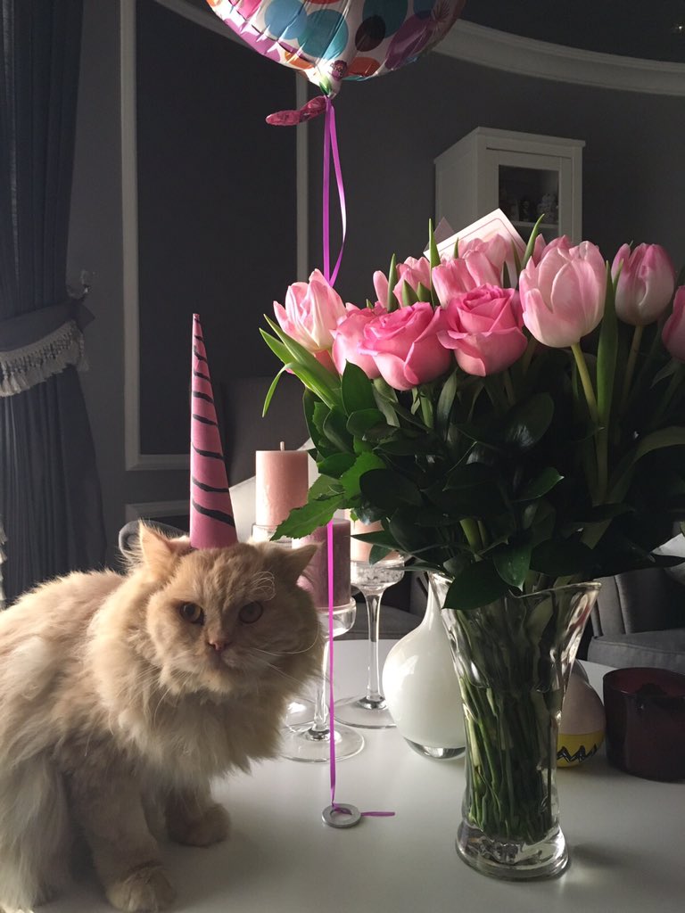 iiiSimba's tweet image. I am a unicorn 🦄