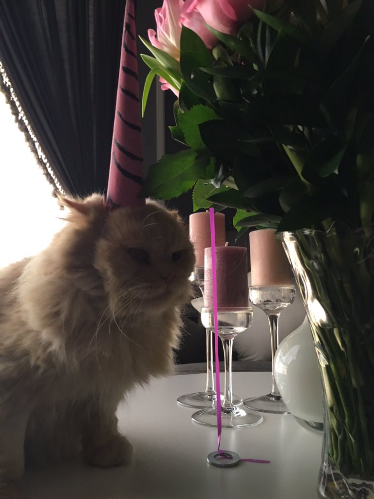 iiiSimba's tweet image. I am a unicorn 🦄