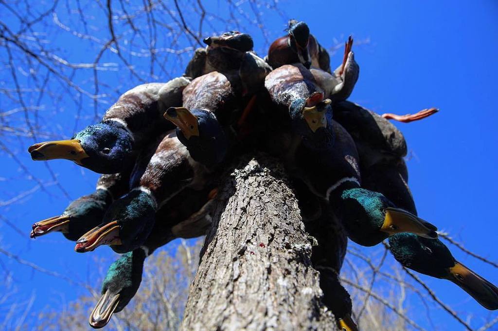 Hunts4Chocolate's tweet image. RT: If you love #duckhunting &amp;amp; @drakewaterfowl gear!