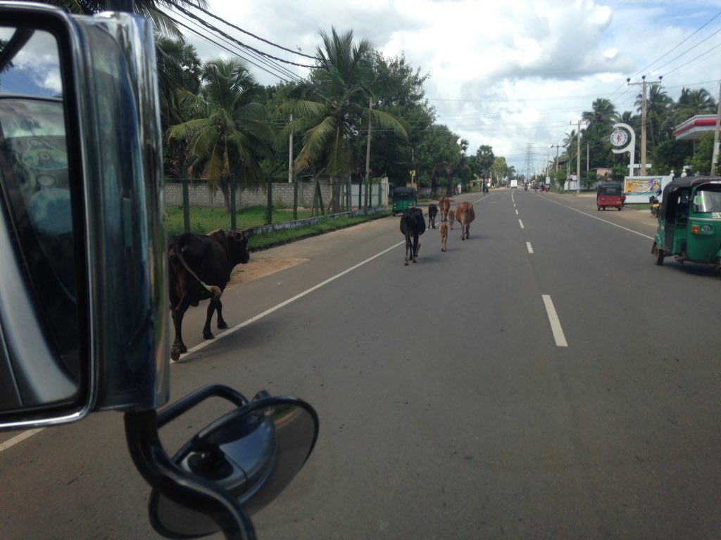 #Shanghai to #SriLanka traffic is a little different. #tmom #travelfamily #kitesurfinglanka #tdad posts forthcoming