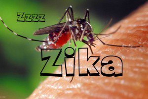 Tentang Merebaknya Wabah Virus Zika - AnekaNews.top