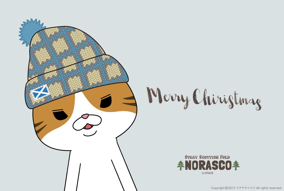 トップ100野良 スコ 壁紙 最高の花の画像