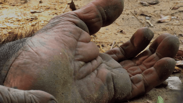 icecubesnet's tweet image. Workshops and performances from @Decoda_Team in 2016 @CDaRE_CU …ativeenterprisecoventry.wordpress.com/2015/12/18/wor…