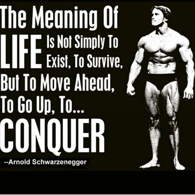 workouttipsnet's tweet image. 